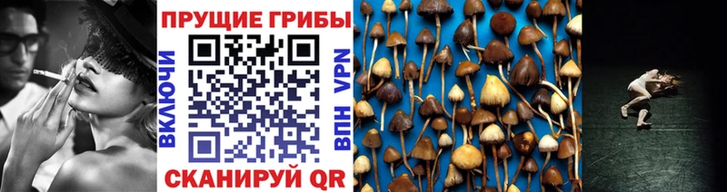 Галлюциногенные грибы Magic Shrooms  hydra   Вытегра  наркота 